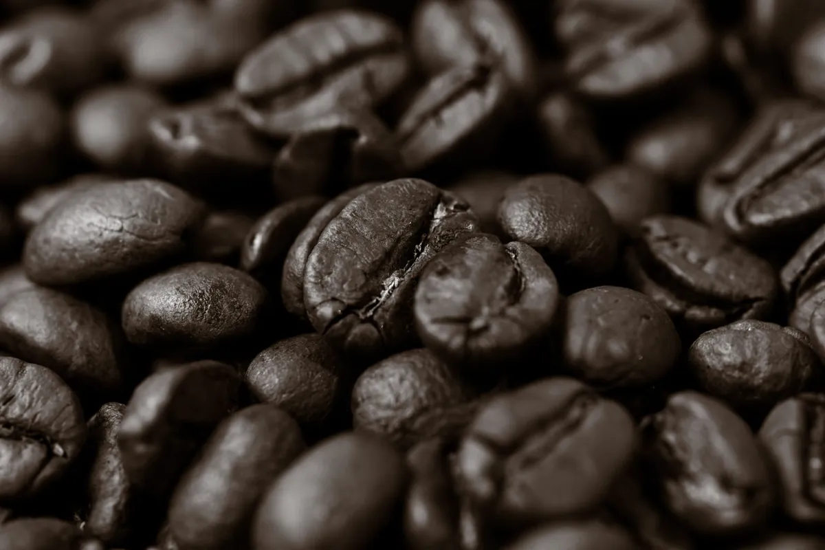 Close-up of freshly roasted coffee beans
