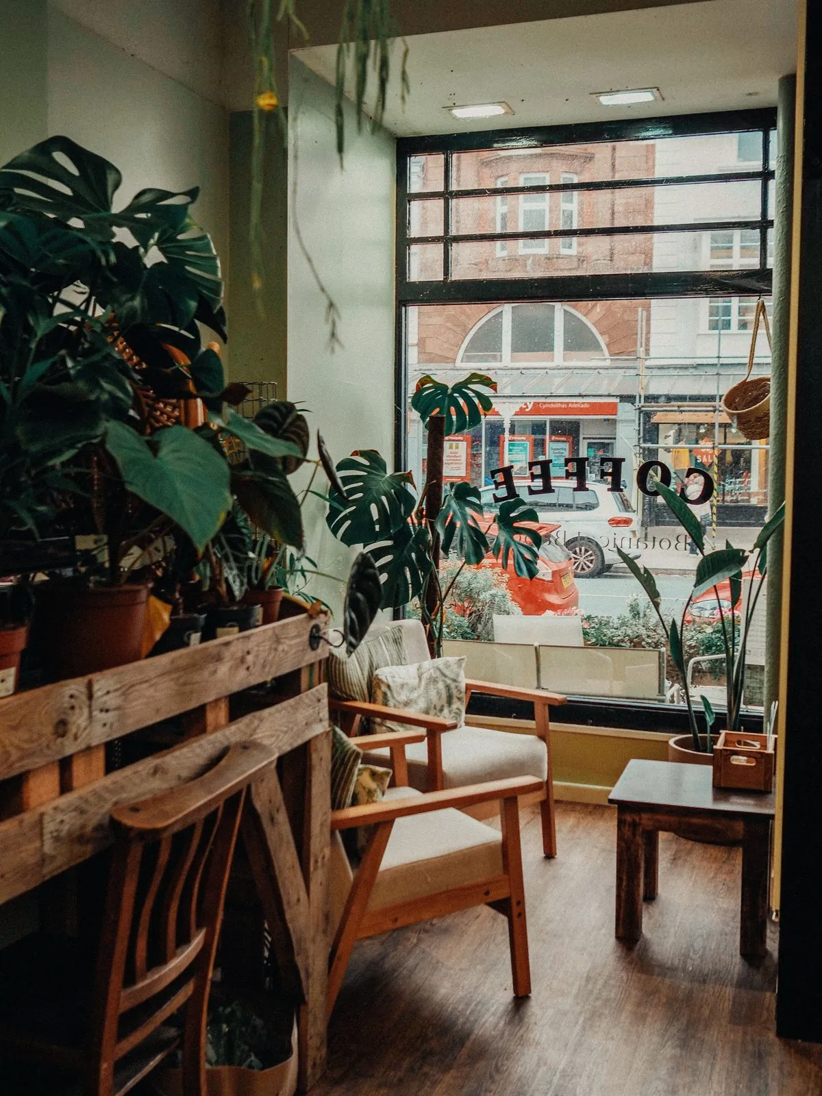Café corner with wooden armchairs, monstera plants and a street-facing window